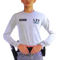 Camiseta Gris