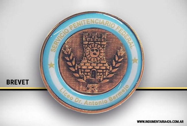 brevet-liceo-dr-antonio-bermejo-indumentaria426